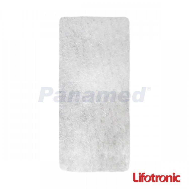 Air Filter (For Lifotronic)